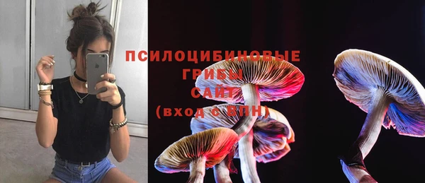 трава Инсар