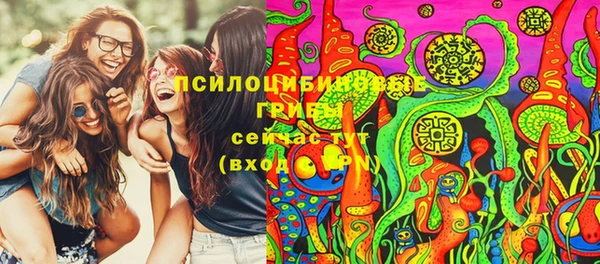дурь Каменск-Шахтинский