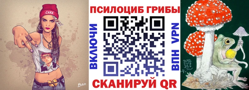 Купить Липецк Псилоцибиновые грибы Cubensis