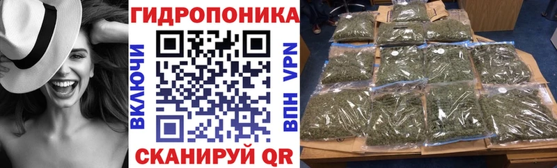 Бошки Шишки OG Kush  Купить где  Липецк 